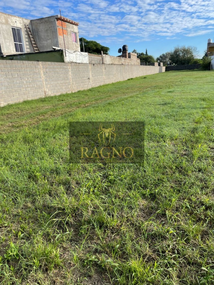 Vendemos lote en zona sur, barrio Coronel Olmedo, 13 por 95 (1235 m²) con escritura y servicios de luz y agua.