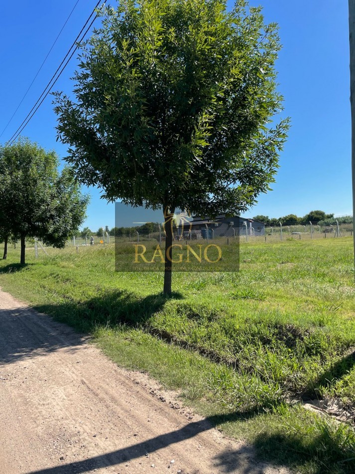 Camino a San Carlos lote de 1666 mts Terranostra 1