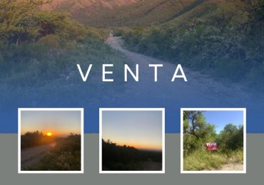 VENTA DE CAMPO DE 5 HECTAREAS EN  MERLO  (SAN LUIS)