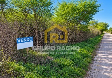 🌳 ¡Excelentes Lotes en Venta! Naturaleza, Escritura y Disponibilidad Inmediata